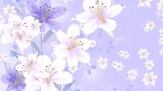 copyright free hd video scenery for video editing background 16