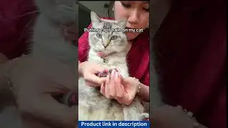 Soft Cat Nail Caps with Adhesive & Applicator &ndash; 20pcs Pet Claw Covers for Kittens #petlovers #cats