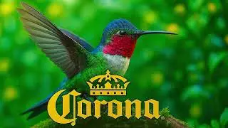 Corona Mix 2025 💛 Remixes & Mashups Of Popular Songs 2025💛 Only Coronita Bangers 💛By Monkey Dealer