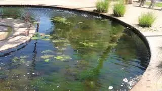 Solar Living Institute Real Good Store Emerald Pharms HOPLAND CA | X1ONTOUR