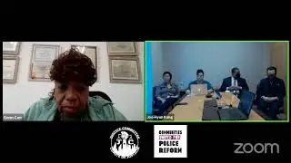 Judicial Inquiry for Eric Garner - Day 1 - Joo-Hyun Kang, CPR / Petitioner