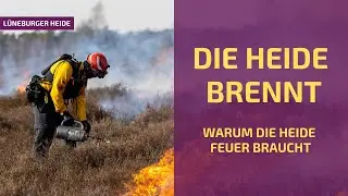 Die Heide BRENNT | Die nachhaltigste Pflege f&uuml;r das Naturschutzgebiet der L&uuml;neburger Heide 💜