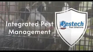 What is Integrated Pest Management (IPM)? | Pestech Pest Control
