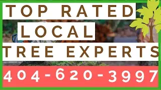 Tree Care Roswell GA | (404) 620-3997 | Best Roswell GA Tree Care