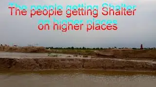 PTVNEWS Reporter Ali Asghar Arbab covering  flood disaster #subscriber #youtuber # watchtime # view