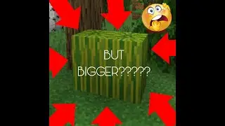 Mega Melon Farm Build (Chill Stream)