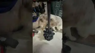 KastKing V16 Fishing Rod Rack With Rotating Base - honest quality review -disappointing