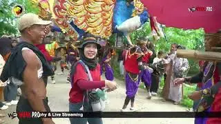 NERIMA LARA | PUTRA SURTI MUDA | NATHAN | 15 NOPEMBER 2025 | TEGALURUNG | WENK PRO