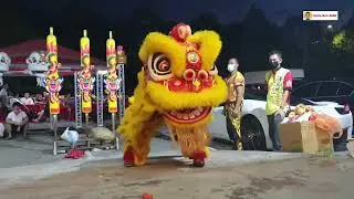 2022 Traditional Lion Dance Performance 福寕宫阴士殿正式入新庙 @ Puchong #庆同乐龙狮体育会