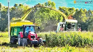 Sil&aacute;že 2019 // Krone BIG X 1100 // Fr&yacute;dlantsk&aacute; zemědělsk&aacute; a.s. //