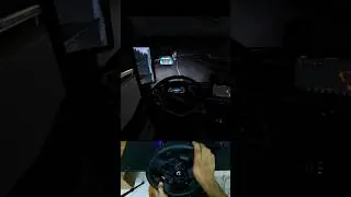 Euro Truck Vibes: The One-Way Entertainment Route