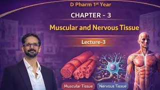 Nervous Tissue Explained in Hindi | D Pharm Chapter 3 | Lecture 3 Part 2 | Must Watch!