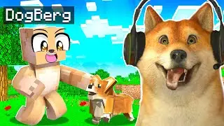 TREINEI MEU CACHORRO NO MINECRAFT!
