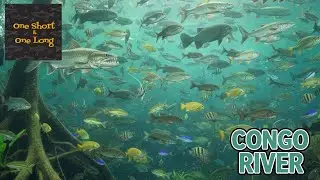 Fishing Planet One Short One Long Competition