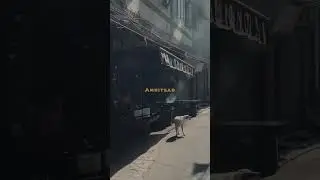 Heart Of Punjab || Amritsar || Punjab.               #ambarsar
