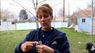 multi function leash
