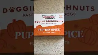 #donuts for dogs 🐶 krispe kreme donuts 🍩 pumpkin 🎃 spice flavor