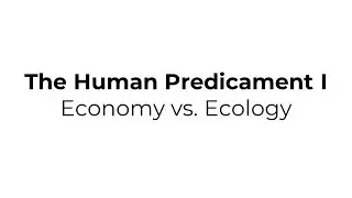 The Human Predicament I (Economy vs. Ecology)