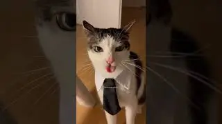 Business meeting