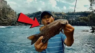 NIAGARA WHIRLPOOL Hike and Fishing Gone Wrong?! *Must See*