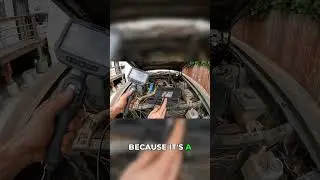 Bore Scope Reveals Horrifying Mustang Engine Damage! #shorts