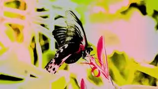 Virtual Alien, Old Nick - Morning Has Come (War of the Planets: The Flight of the Moths)