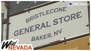 Welcome Back to Baker! | Baker, Nevada | Wild Nevada