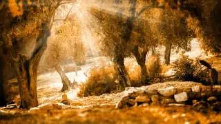 Микс Mix    GOA Chillout Ремикс  Remix Trance, Relax Best Of Chillout Чилаут транс бест