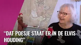 Langs de grootste kattenfan van het land