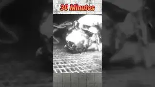 Trapped Beneath the Waves: Chris Lemons' Incredible Survival Story!!