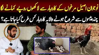 How to start Aseel Business in Pakistan? Haseeb Subhani Aseel Farm | Ali Mustafa