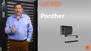 Panther