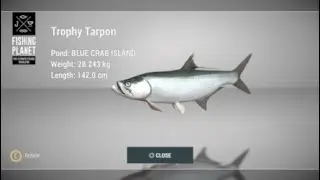 How to catch Trophy Tarpon at Blue Crab Island