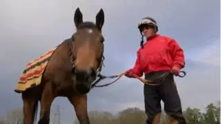 Stable Staff over Christmas with ITV London