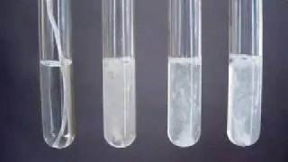 Group 2 Reactions with  water - Periodic Properties
