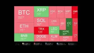 Live Coin Price Watch!