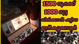 Low cost incubator for eggs| 1500 രൂപക്ക് 1000 മുട്ട വിരിയിക്കാൻ പറ്റിയ ഇങ്കുബേറ്റർ#Shafeeque vlog