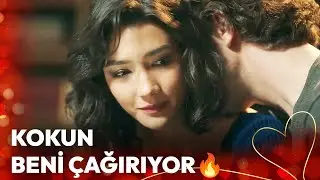 En Romantik Efe ve Verda Sahneleri 💞 - Şahin Tepesi