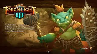 Torchlight III  Dusk Mage Play Test