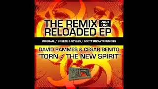 David Pamies & Cesar Benito - Torn (Scott Brown Hardcore Mix)