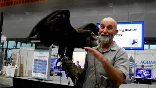 Gold Coast Pet Expo/ AusPet 2018 Exhibition