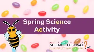 Spring Science with the Wisconsin Science Festival