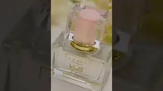 SMOVF EXHIBITION VIDEO PRODUCT VIDEO 02