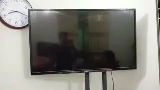 What is Mute Problem in LED TV