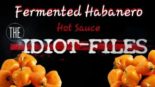 Fermented Habanero hot sauce from The Idiot Files