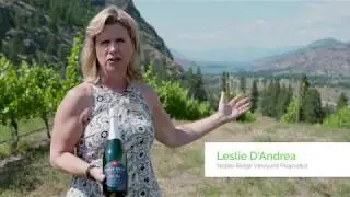 The right grape in the right place. BC Wine Country