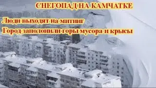 СНЕГОПАД НА КАМЧАТКЕ ОБСТАНОВКА НА 29 ЯНВАРЯ