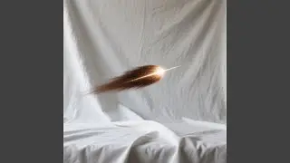 Brown comet on white fabric