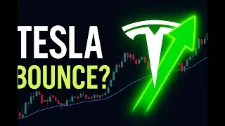 TSLA Bullish Rebound Ahead? Key Levels After Market Drop