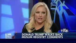 Critics pounce on Donald Trump's 'Muslim registry' comments